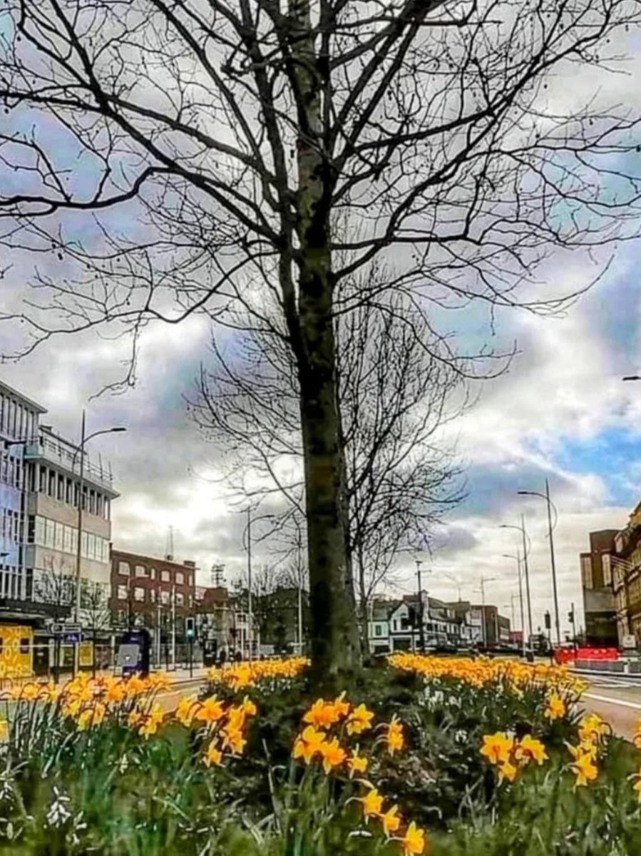 Hull Images tweet media