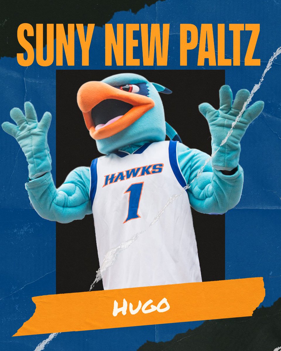 SUNY - The State University of New York tweet media