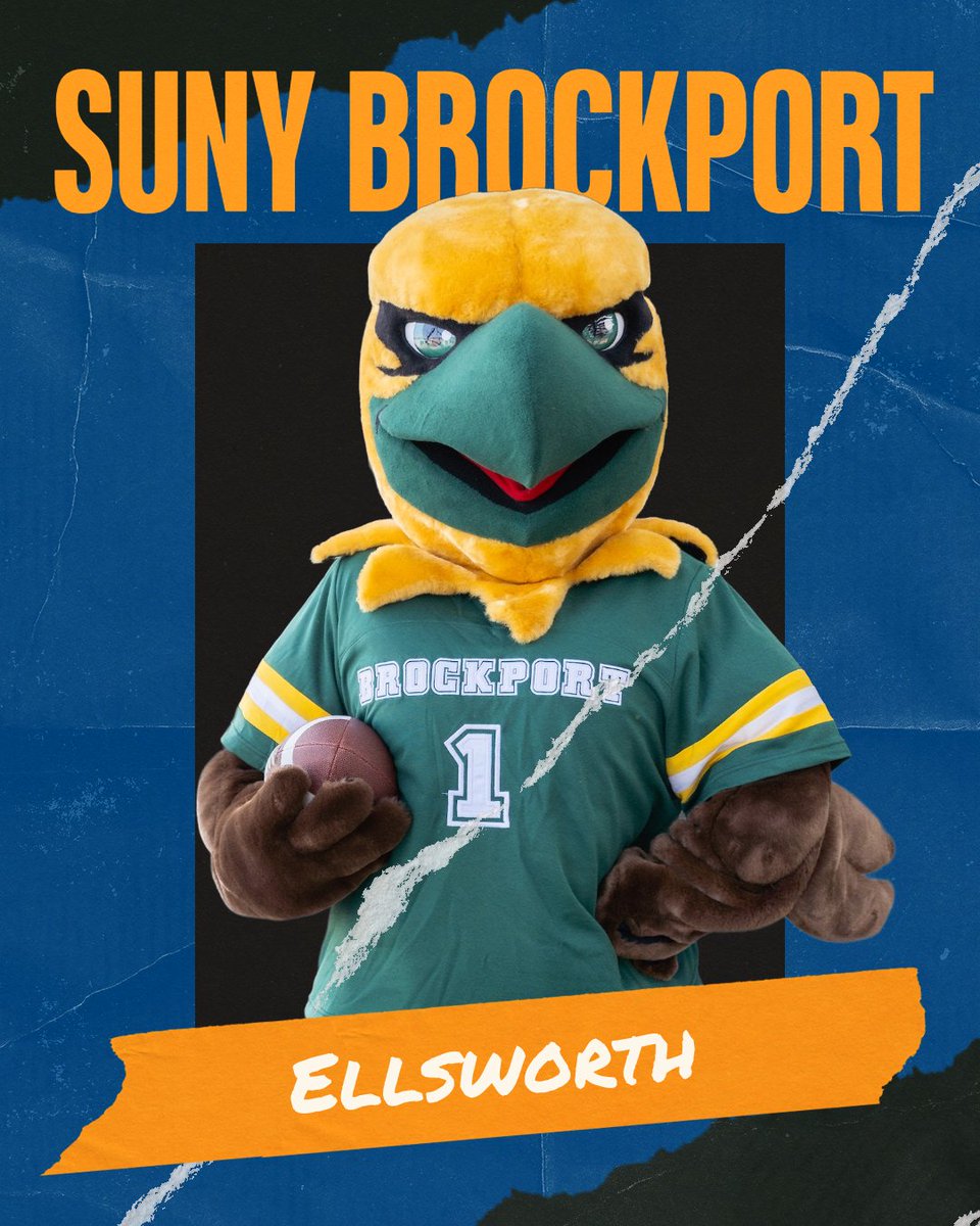 SUNY - The State University of New York tweet media