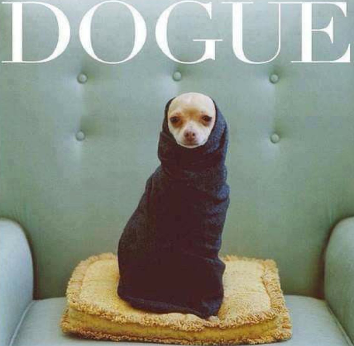 Elle Lookbook tweet media