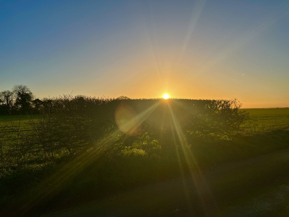 ᛏ𝙴𝙻𝙳𝙴𝚁𝙸𝙻𝙺ᛉ © tweet media