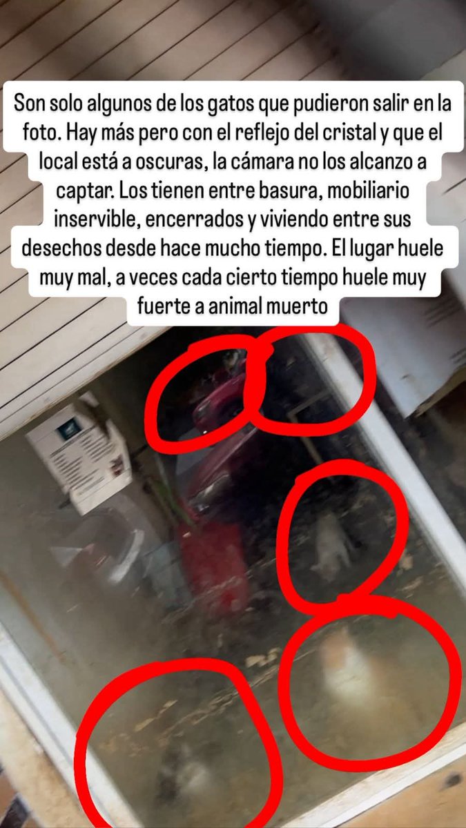 Paty Roldan tweet media