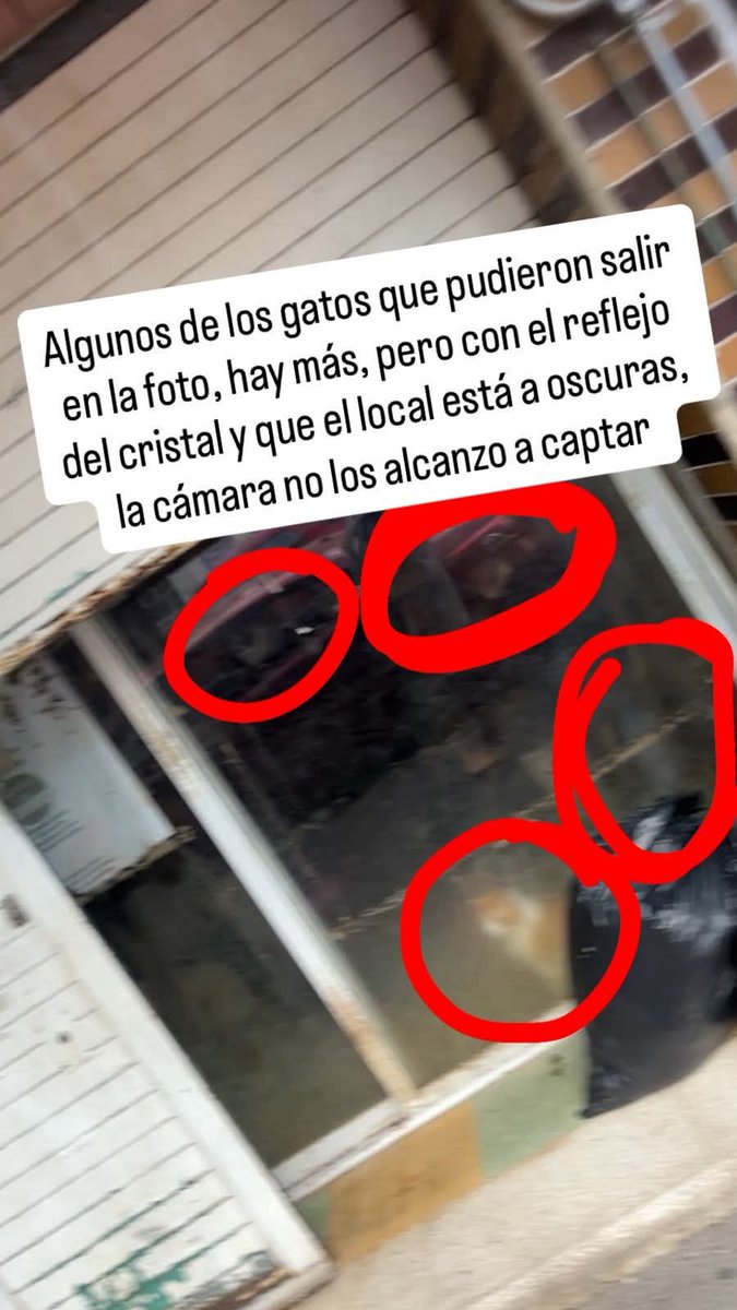 Paty Roldan tweet media