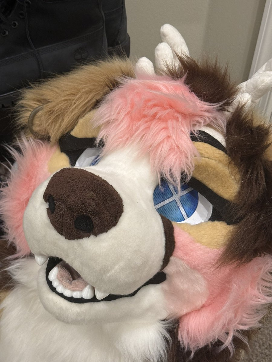 🦴Burning_Sea 🔜LVFC,TFF,FWA tweet media