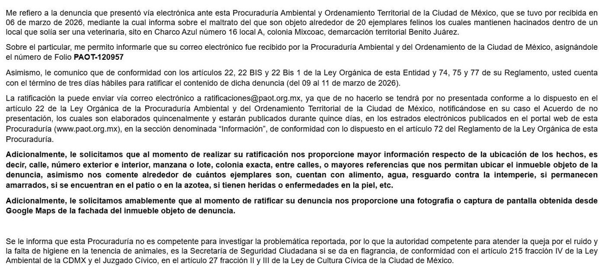 Paty Roldan tweet media