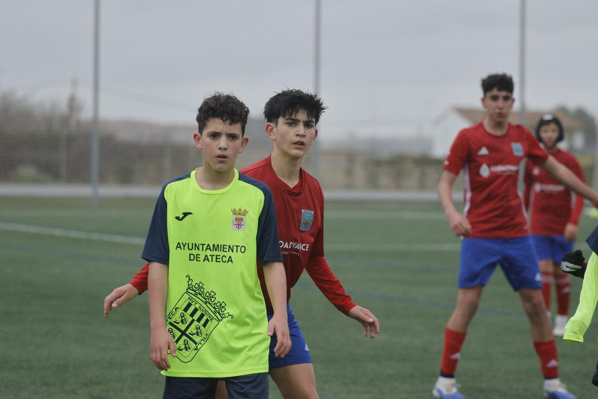 SD. Tarazona Cantera tweet media