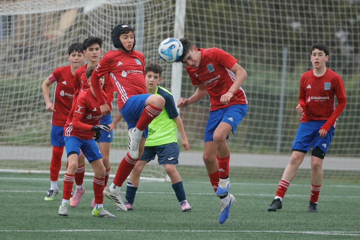 SD. Tarazona Cantera tweet media