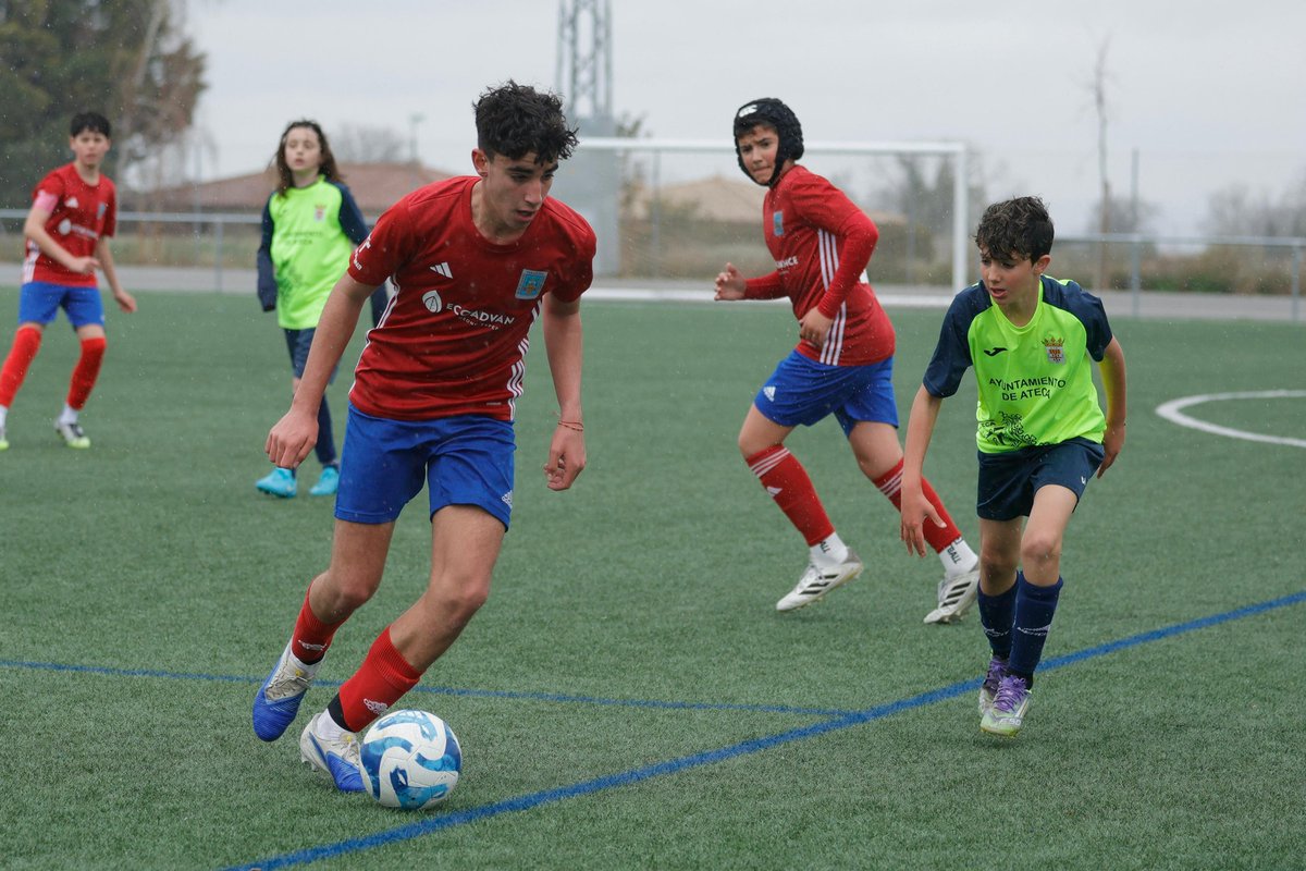 SD. Tarazona Cantera tweet media