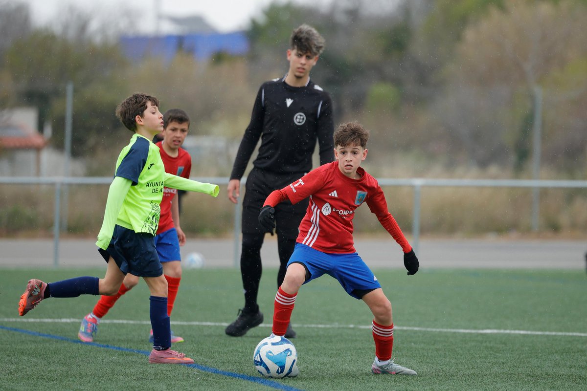 SD. Tarazona Cantera tweet media