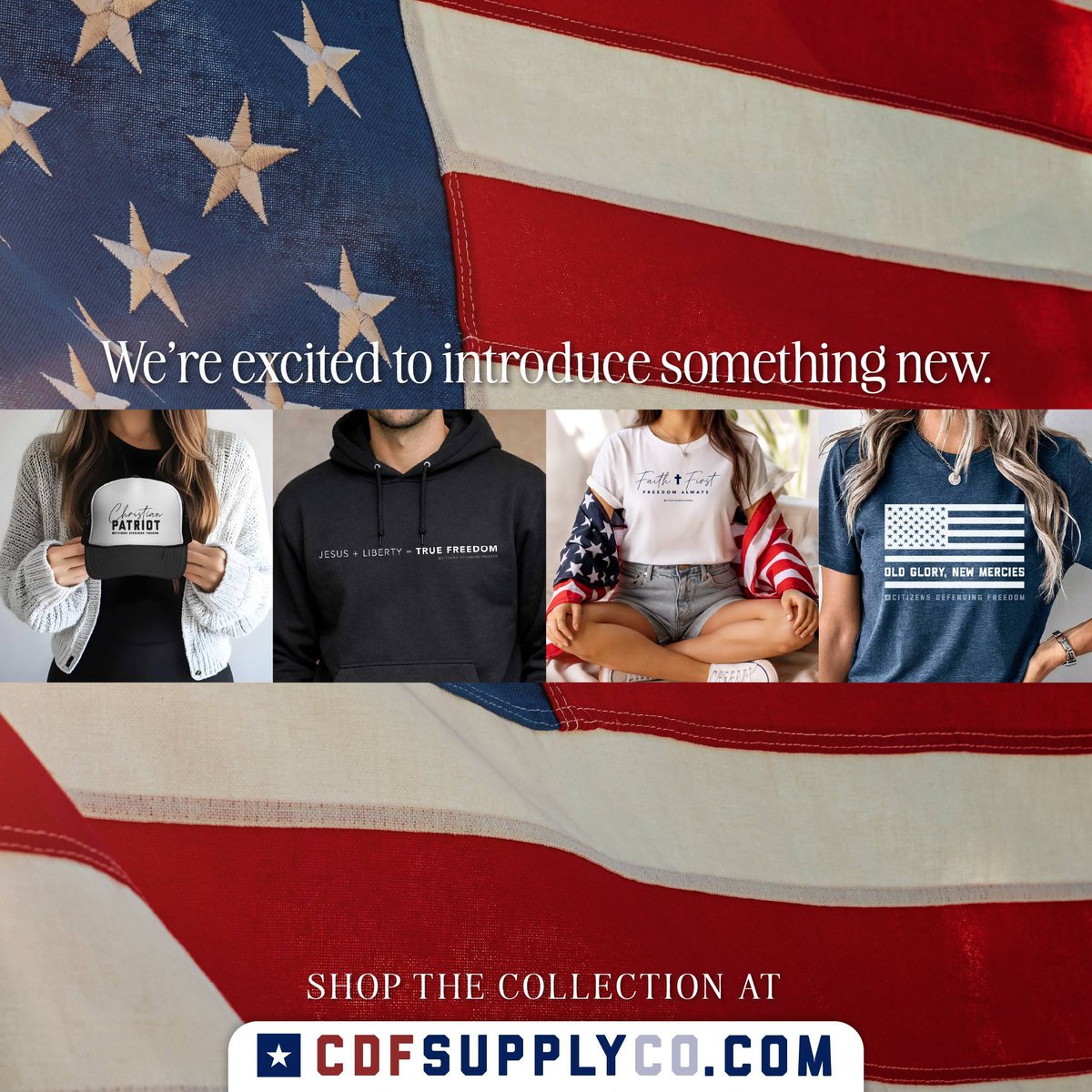 Citizens Defending Freedom tweet media