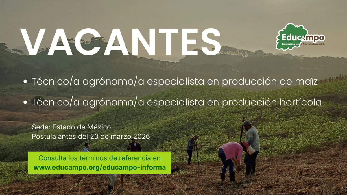 📣 Actualmente, Educampo cuenta con 2 vacantes en #EstadodeMéxico:
🌽 Técnico/a agrónomo/a especialista en producción de maíz
🥬 Técnico/a agrónomo/a especialista en producción hortícola

📅 Postula antes del 20 de marzo
🔎 educampo.org/educampo-infor…

#Vacante #DesarrolloRural