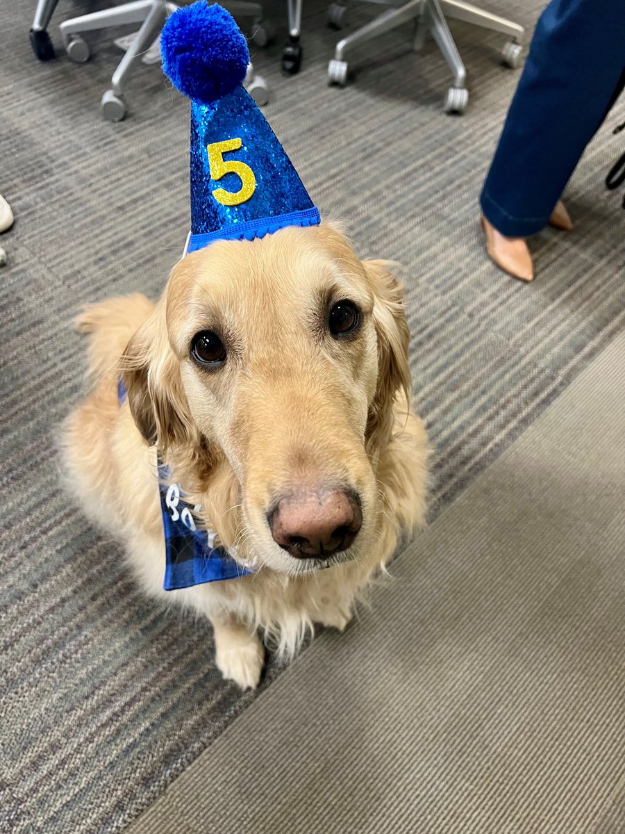 Project Harmony tweet media