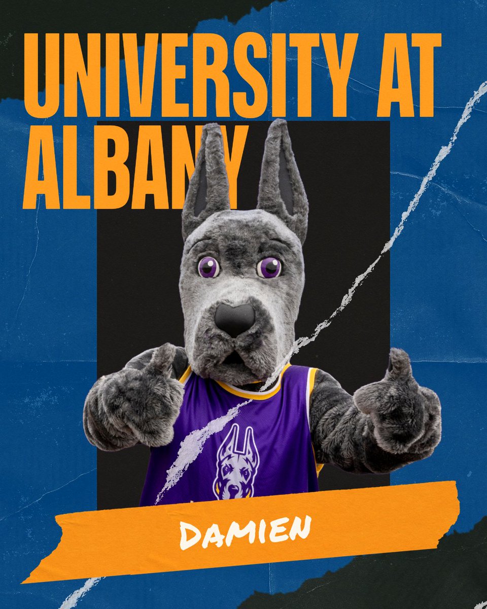 SUNY - The State University of New York tweet media