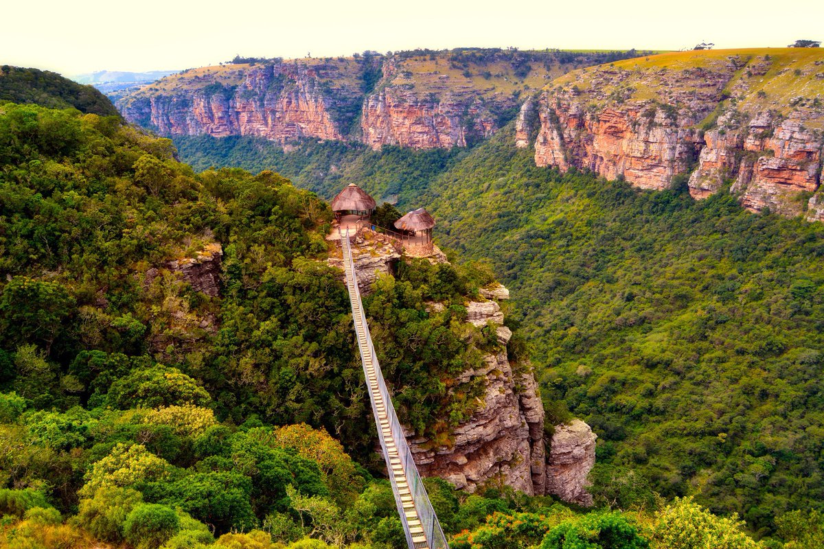 Connect4Climate tweet media