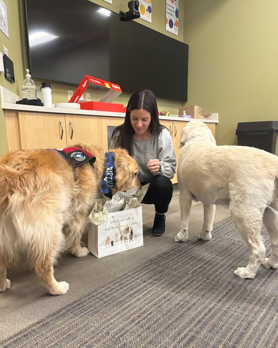 Project Harmony tweet media