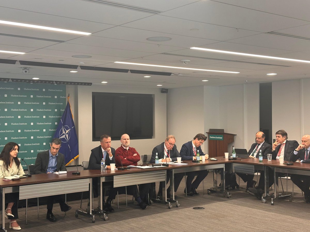 NATO PA Türkiye🇹🇷 tweet media