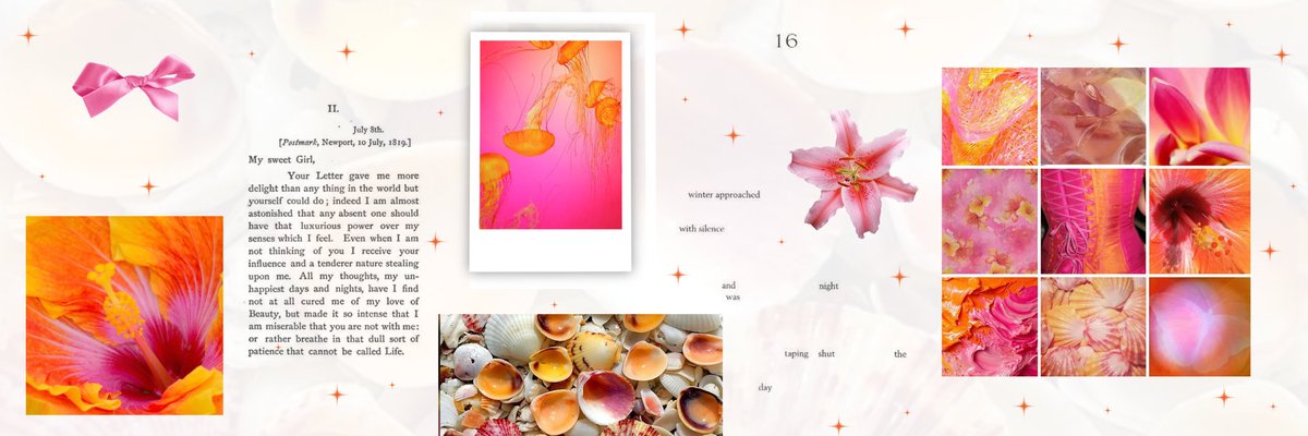 ⋒ ꢶੵ ִ𝖢𝗂𝗍𝗋𝗎𝗌𝖪𝗂𝗍𝗍𝗒 𝖲𝗍𝗎𝖽𝗂𝗈. tweet media