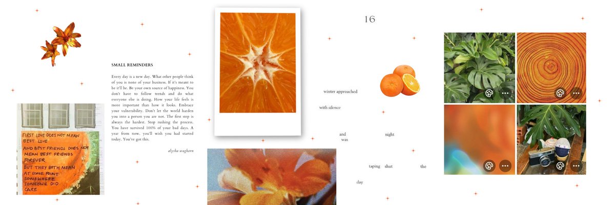 ⋒ ꢶੵ ִ𝖢𝗂𝗍𝗋𝗎𝗌𝖪𝗂𝗍𝗍𝗒 𝖲𝗍𝗎𝖽𝗂𝗈. tweet media