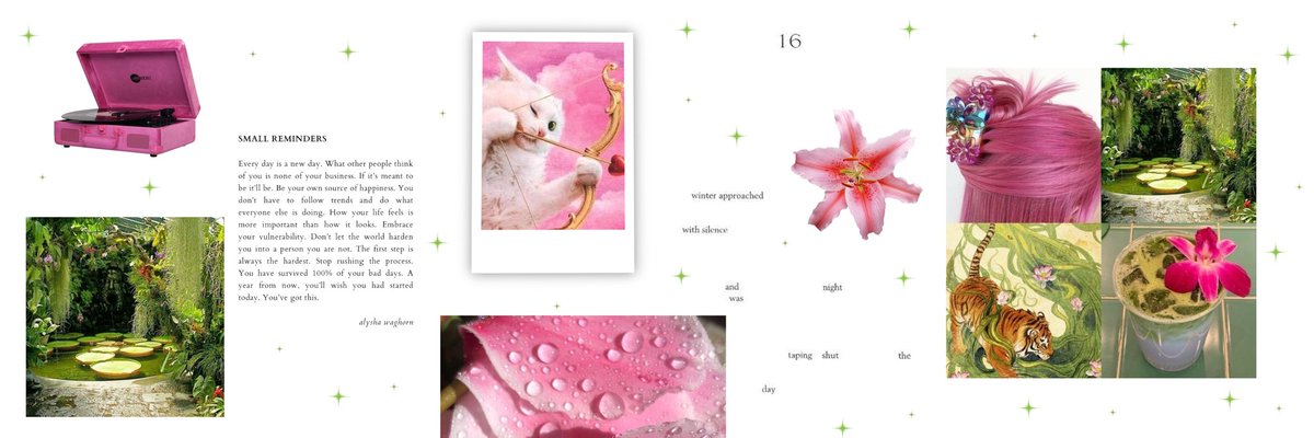 ⋒ ꢶੵ ִ𝖢𝗂𝗍𝗋𝗎𝗌𝖪𝗂𝗍𝗍𝗒 𝖲𝗍𝗎𝖽𝗂𝗈. tweet media