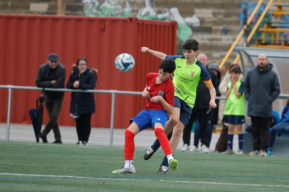 SD. Tarazona Cantera tweet media