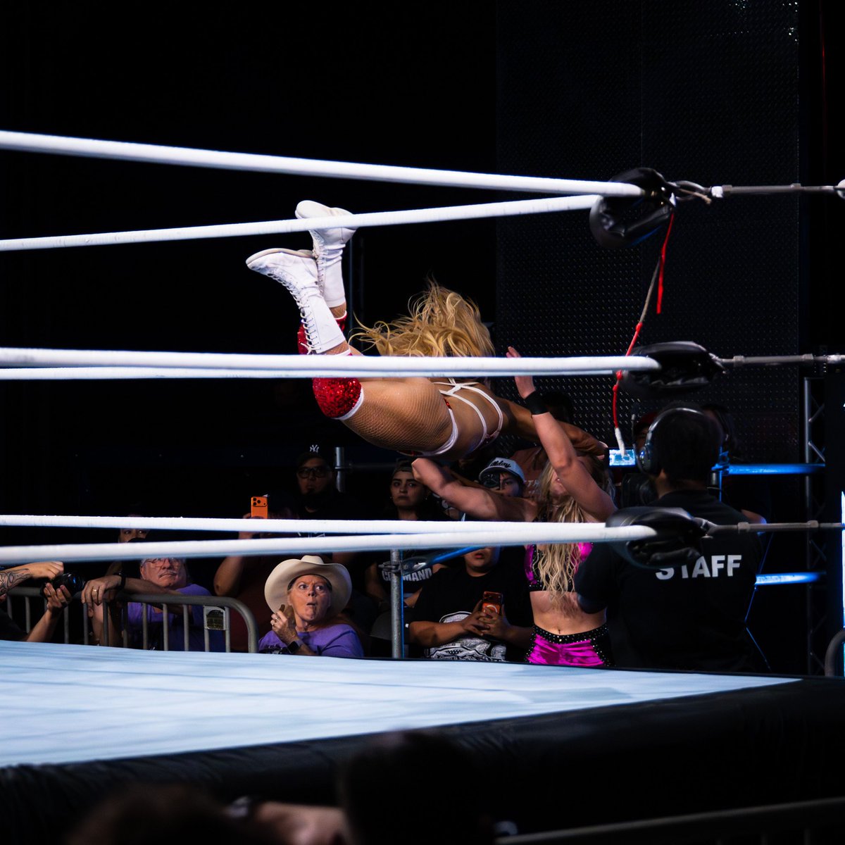 “Lady Bird” Monica Monroe tweet media