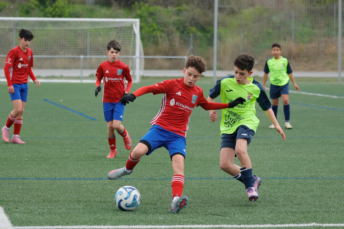 SD. Tarazona Cantera tweet media