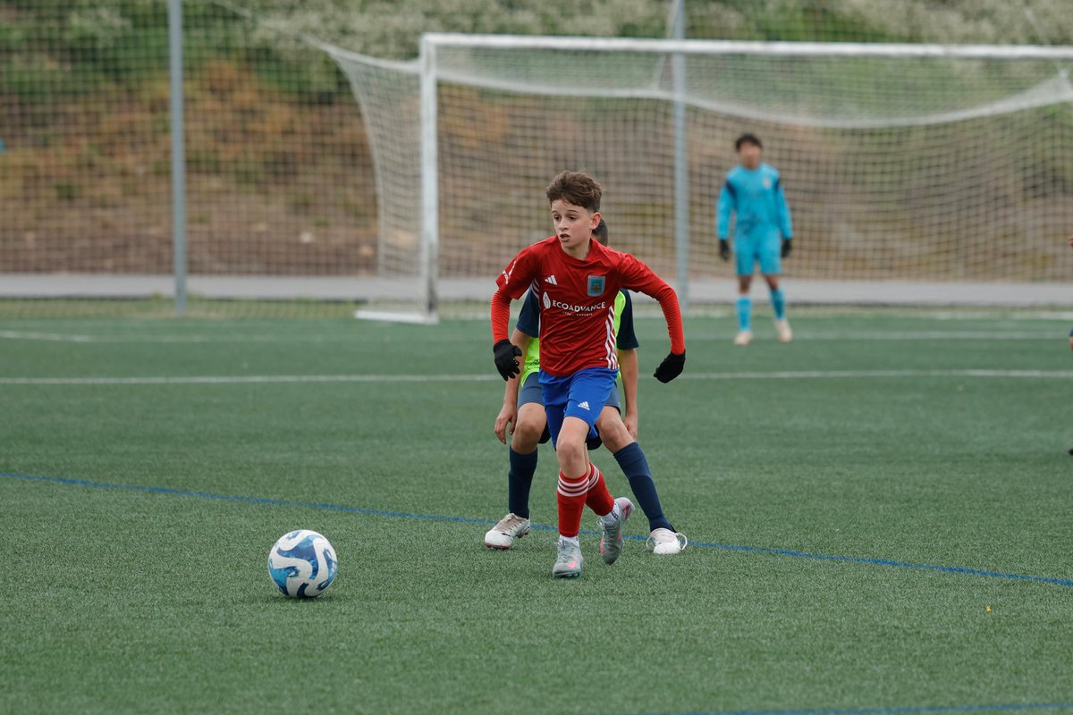 SD. Tarazona Cantera tweet media