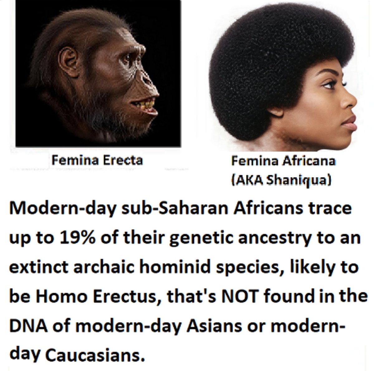 RealJustinLewis tweet media