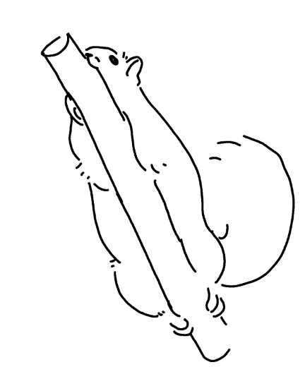 Bear the Witch 🐻🎨 VTuber tweet media