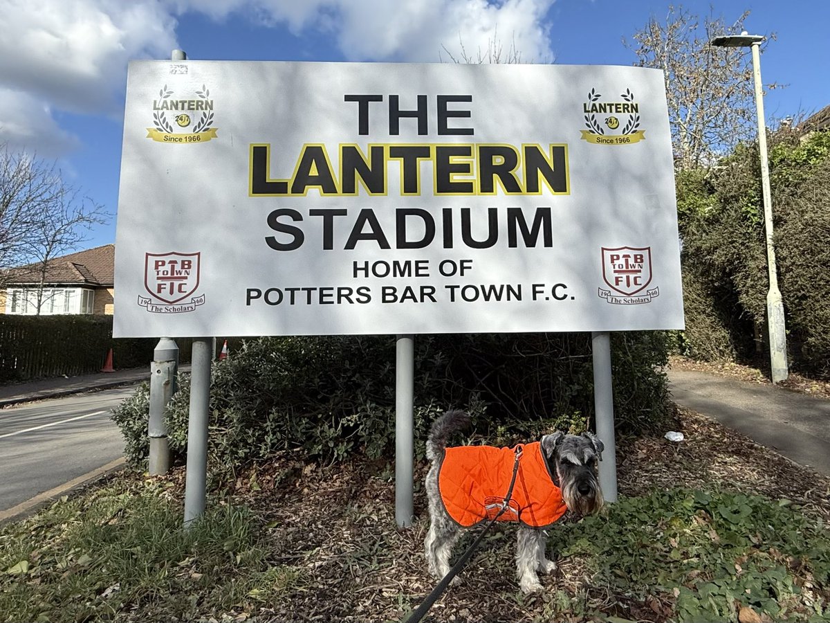 nonleaguedogs tweet media