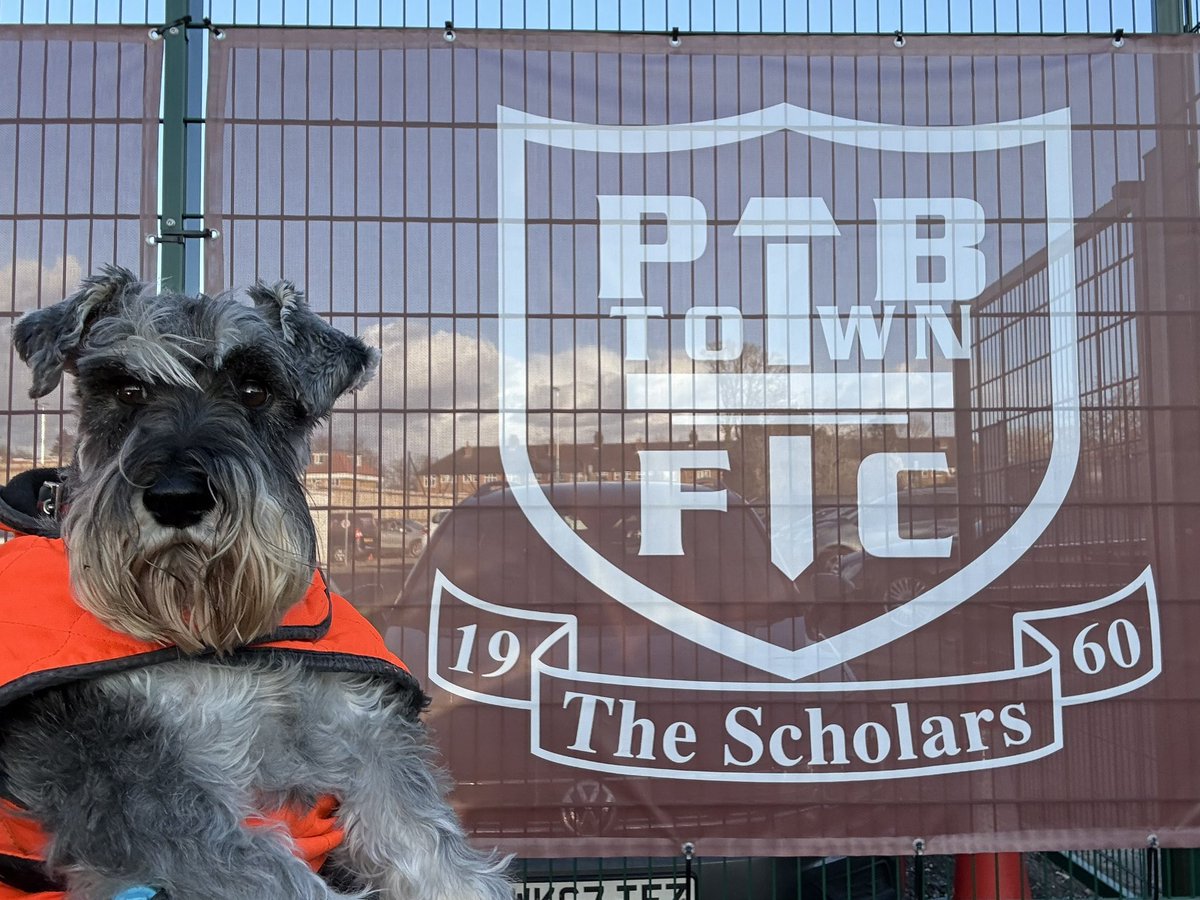nonleaguedogs tweet media