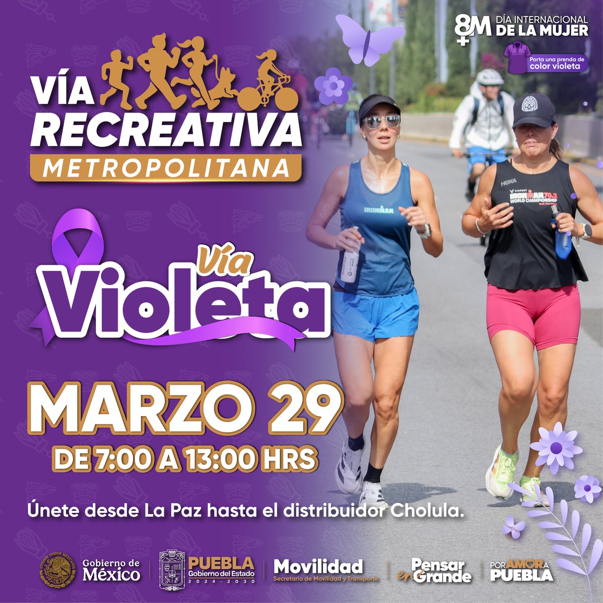 Secretaría de Movilidad y Transporte tweet media