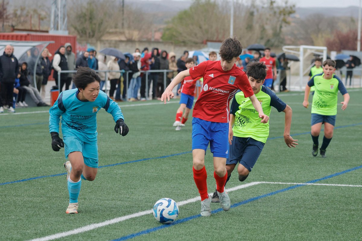 SD. Tarazona Cantera tweet media