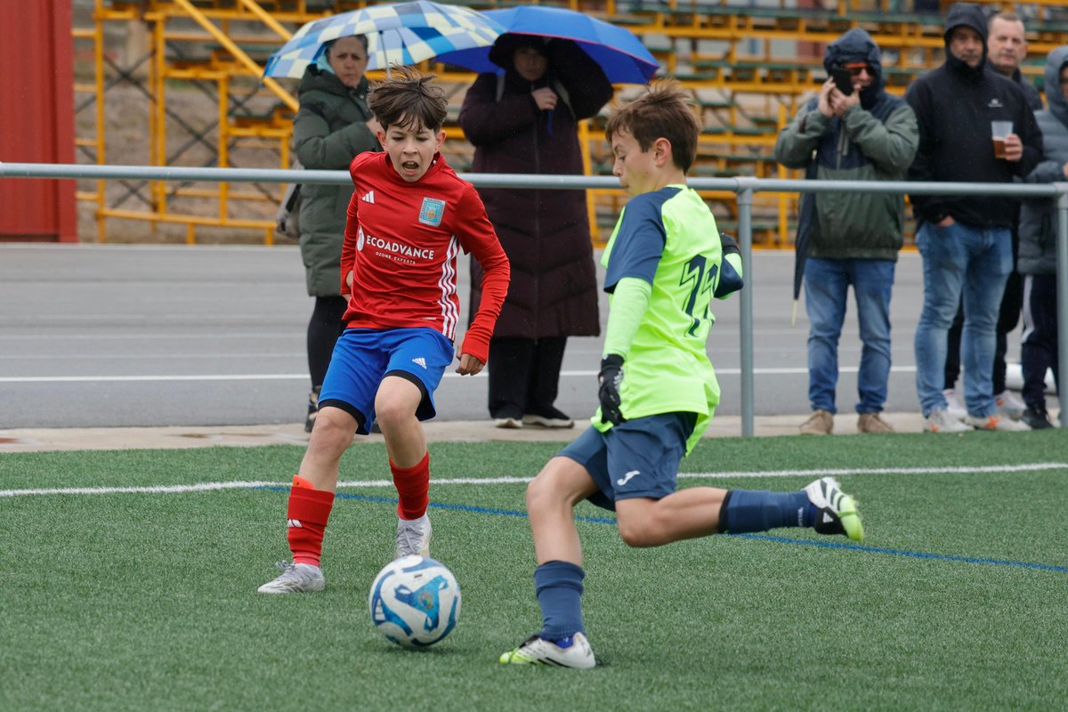 SD. Tarazona Cantera tweet media