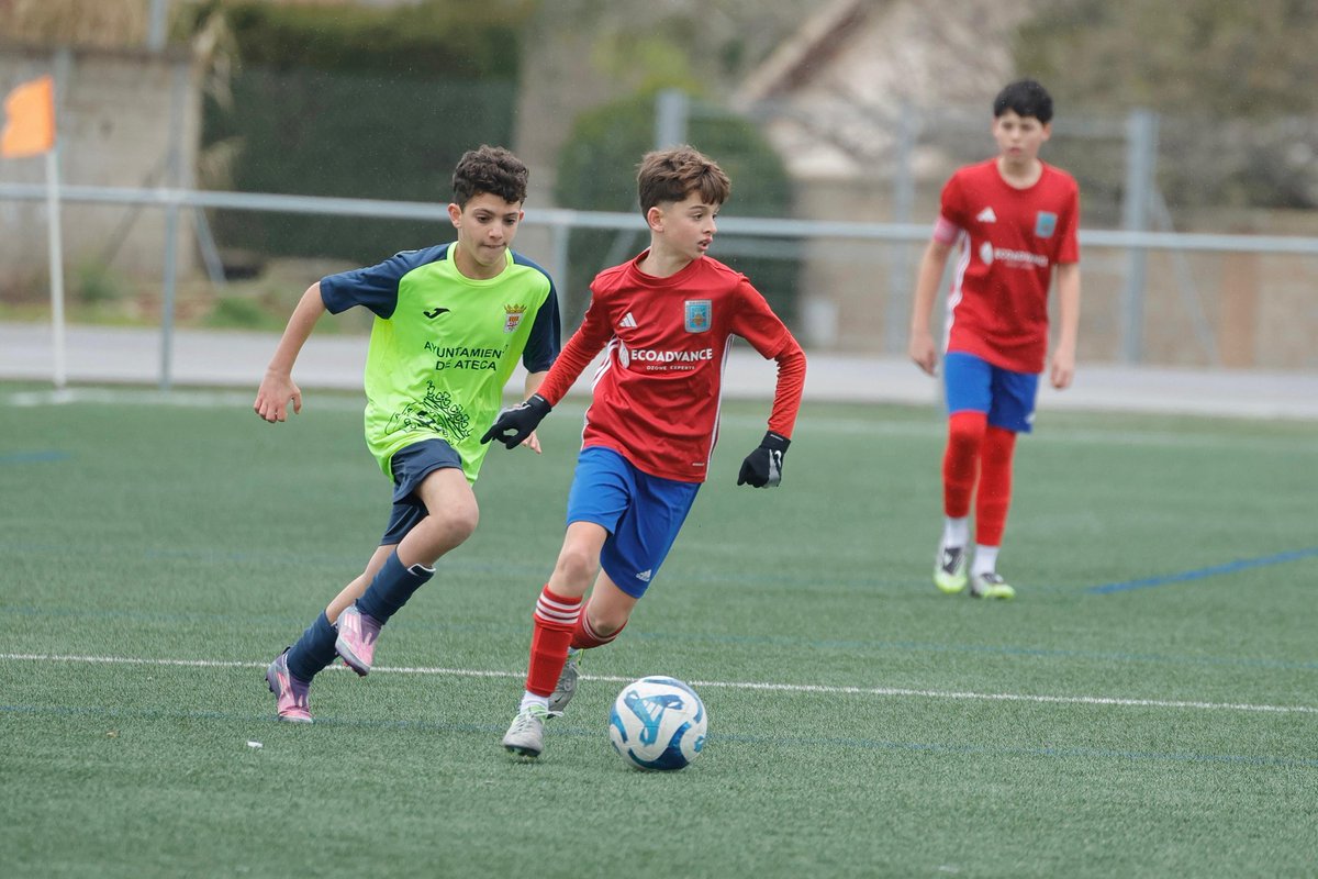 SD. Tarazona Cantera tweet media