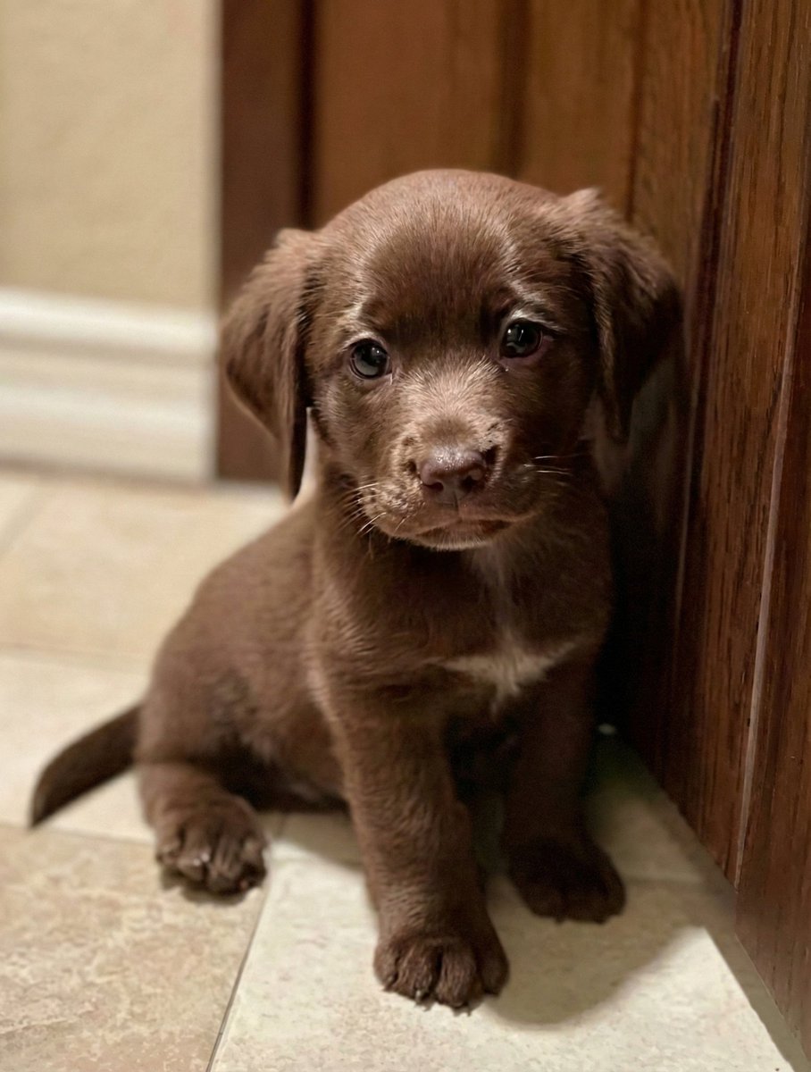 𝐌𝐚𝐭𝐭 𝐏𝐢𝐧𝐧𝐞𝐫 tweet media