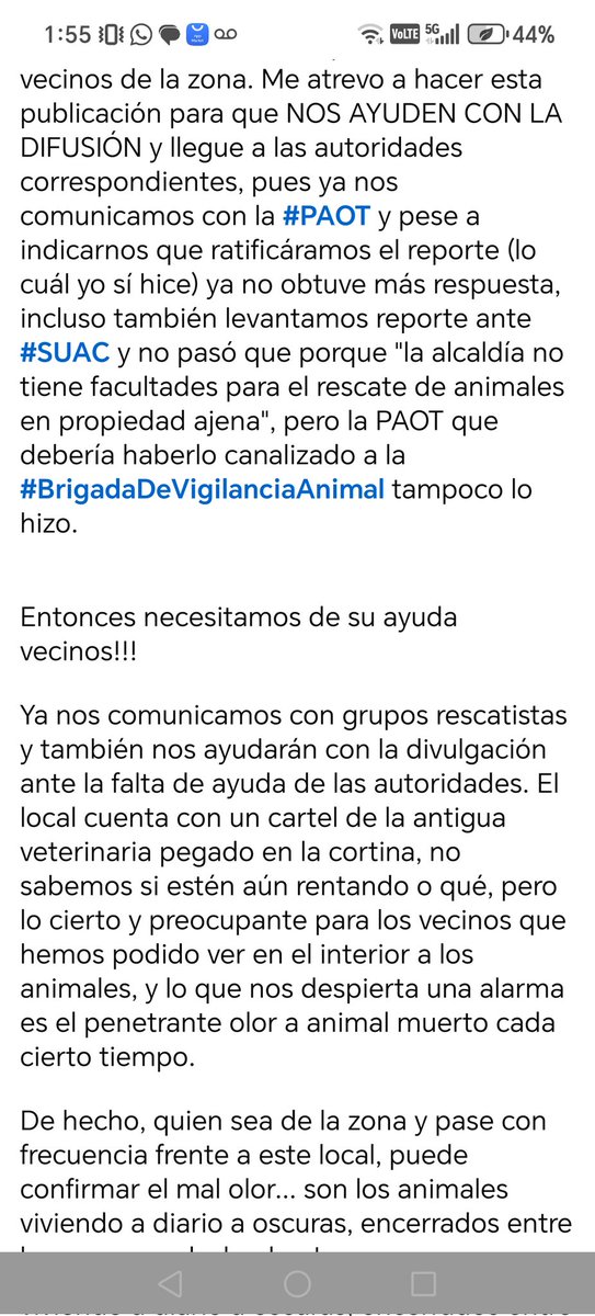 Paty Roldan tweet media