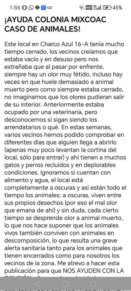 Paty Roldan tweet media