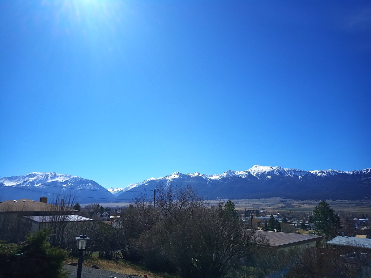 Matthew Hurley tweet media