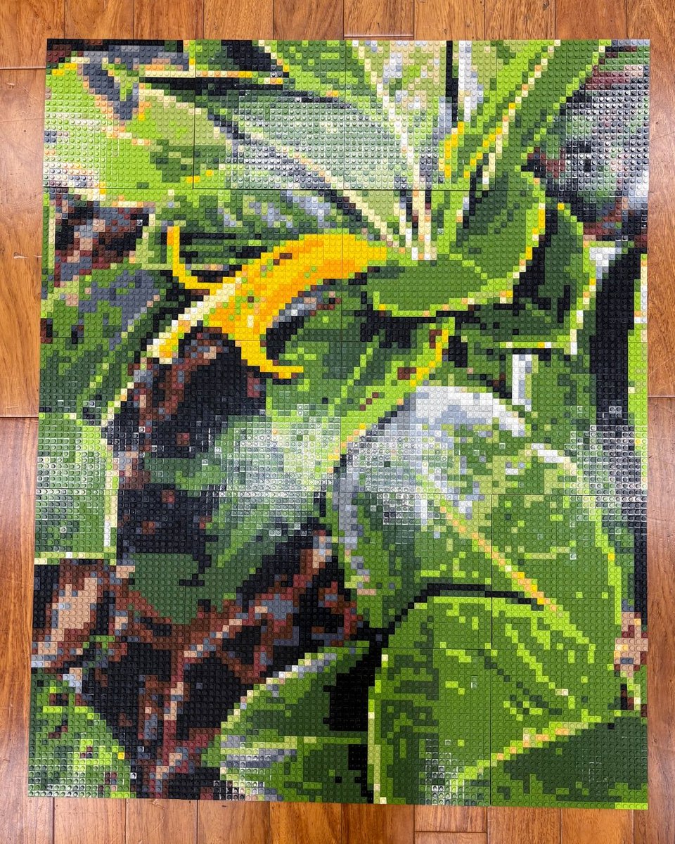 First Insurance HI tweet media