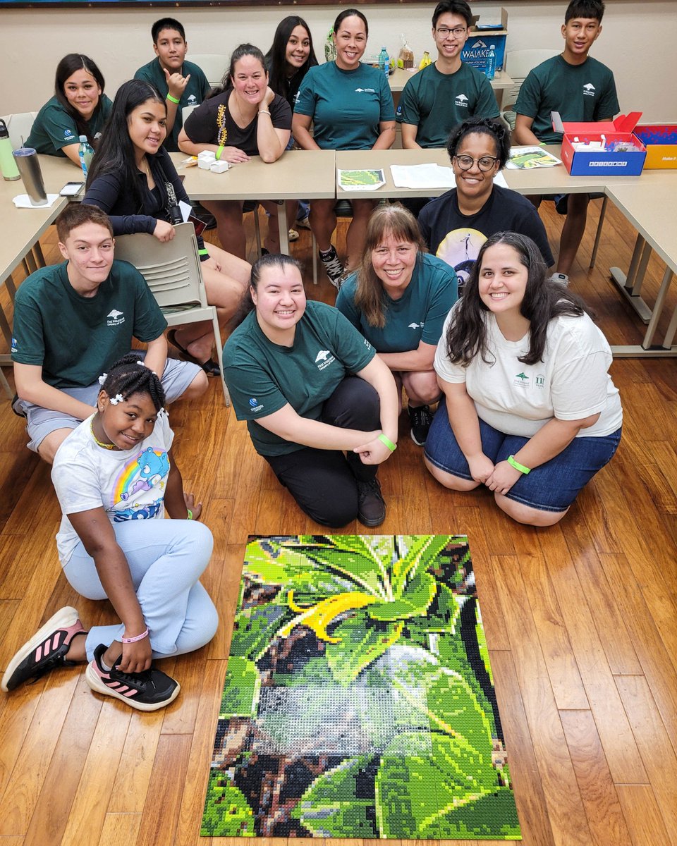 First Insurance HI tweet media