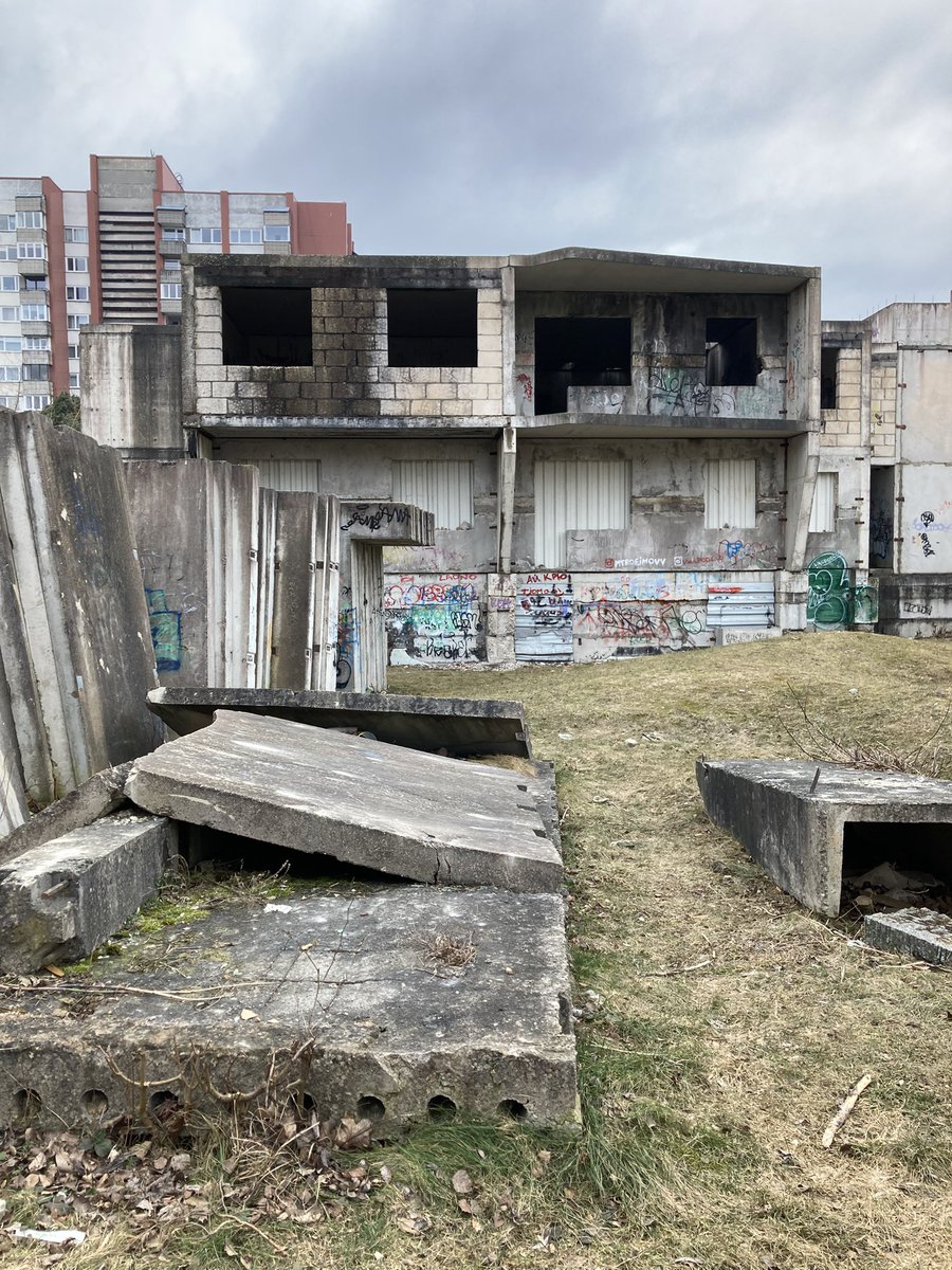 Baltā meitene tweet media