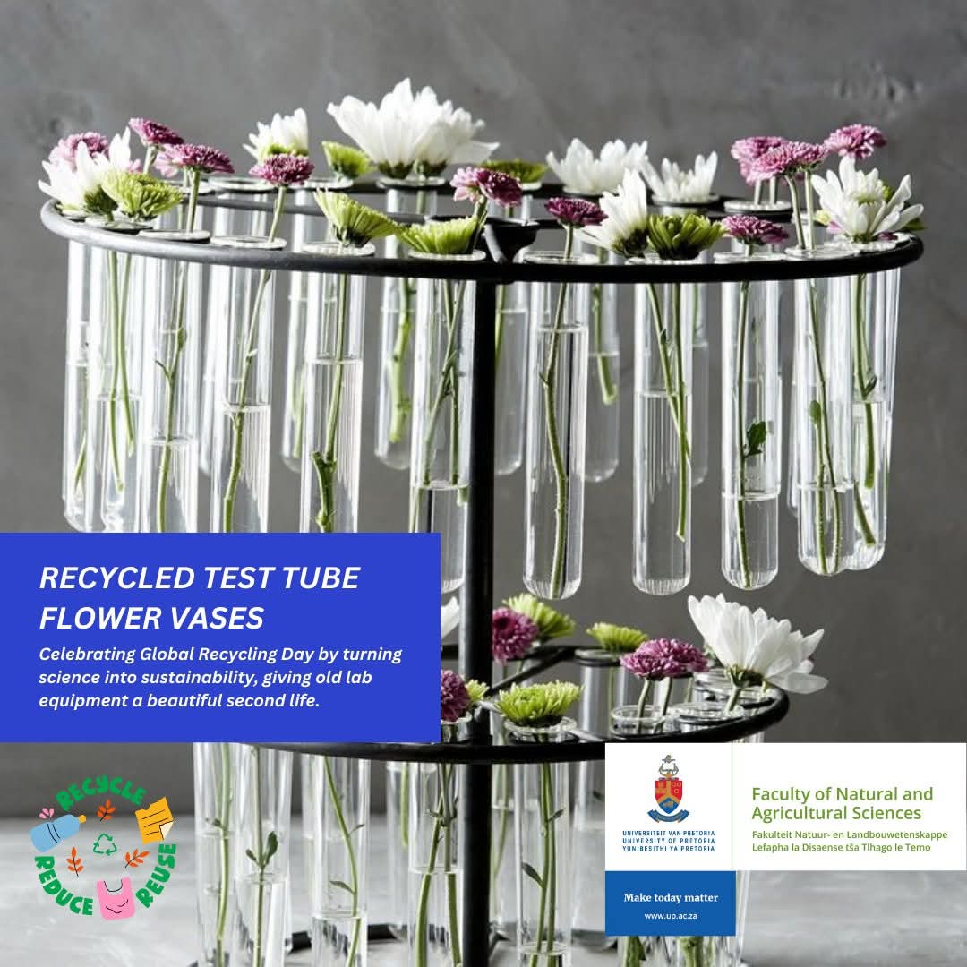 UPnasagric's tweet photo. Celebrating #GlobalRecyclingDay by turning science into sustainability, giving old lab equipment a beautiful 2nd life. Embracing principles of reduce, reuse &amp; recycle, we protect our environment and inspire innovative ways approaching scientific practice.  #UniversityOfPretoria https://t.co/iyx8A2pGK5