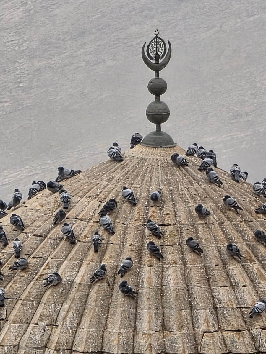 Βλάνταν Ράζνατοβιτς tweet media