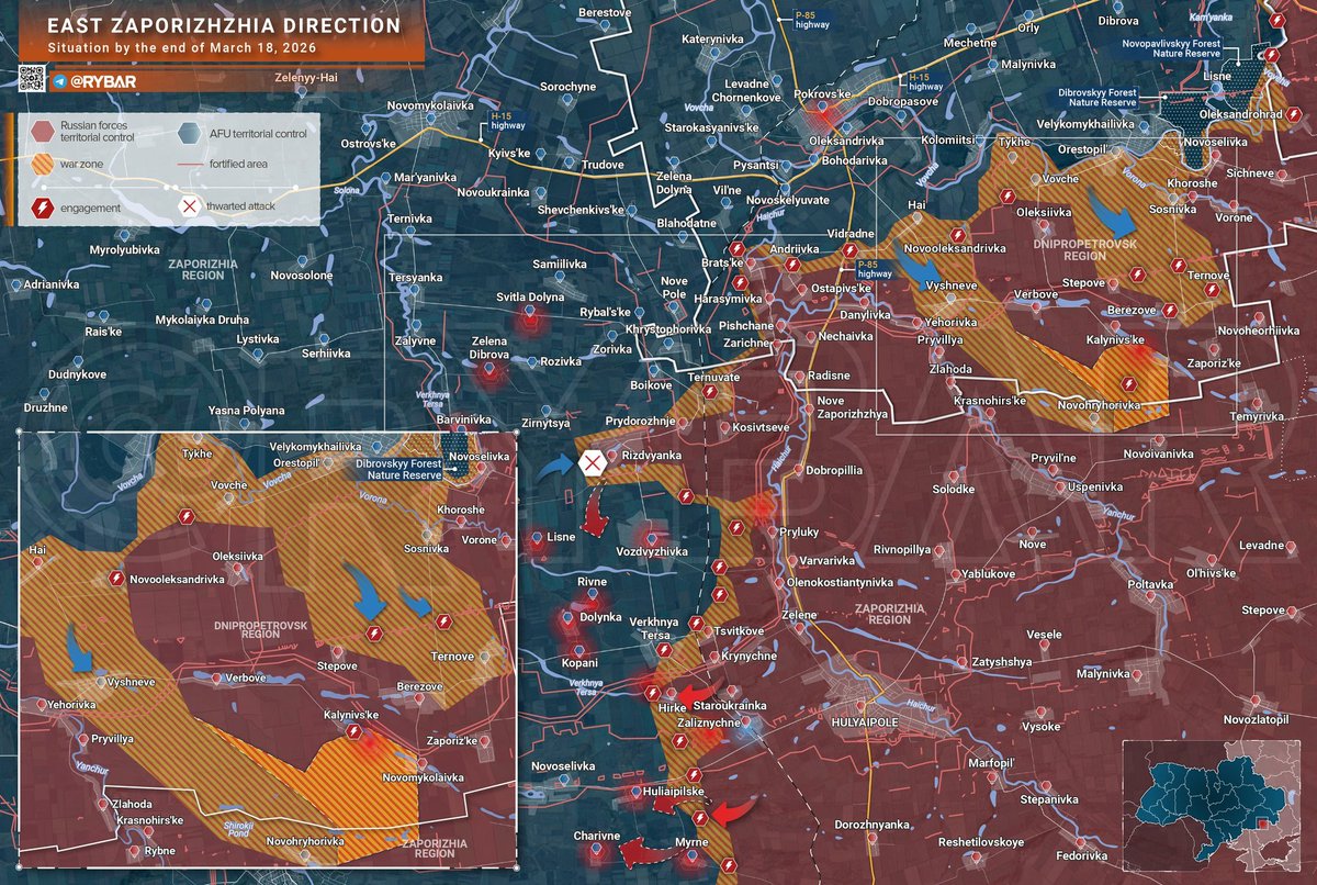 david D. tweet media