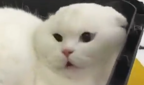 Hot Lesson tweet media