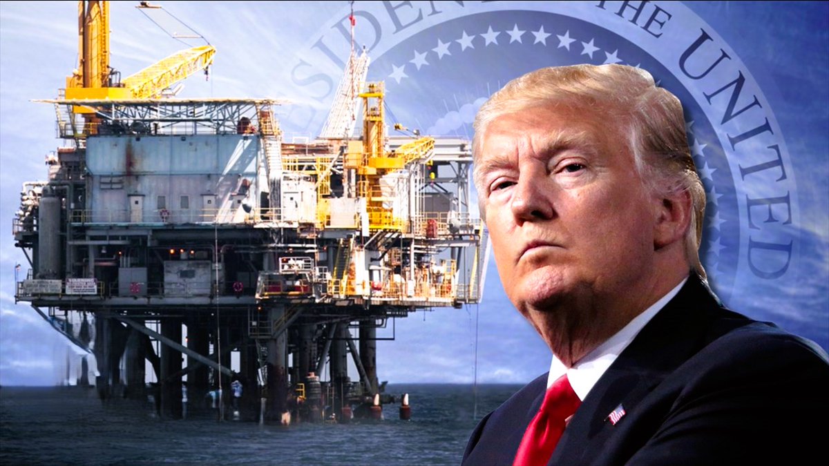 Medeea Greere tweet media