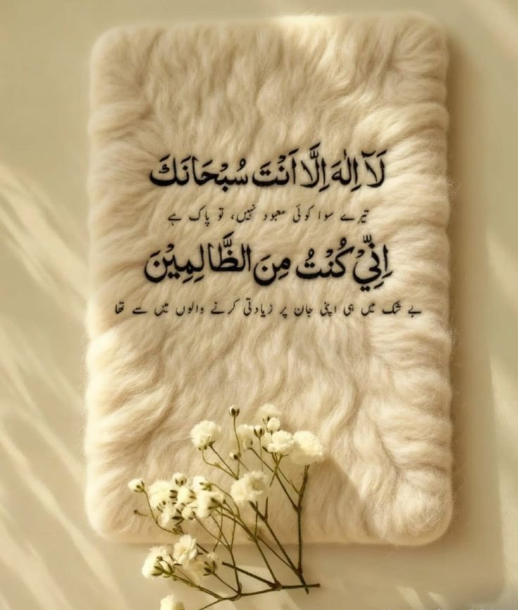 🌻🌻🌻𝕊𝕙𝕒𝕙𝕫𝕒𝕕 𝕄𝕦𝕟𝕚𝕣🌻🌻🌻 tweet media