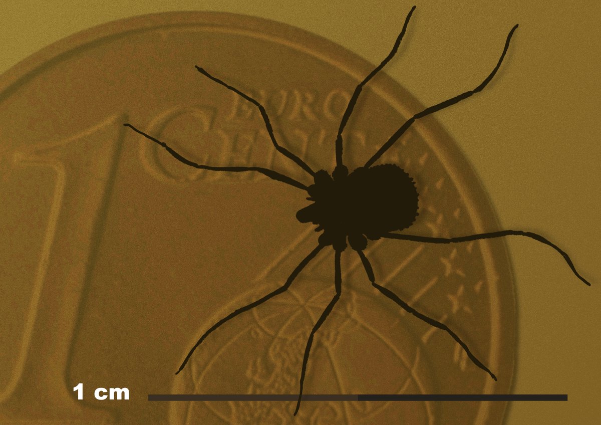 Joschua Knüppe tweet media