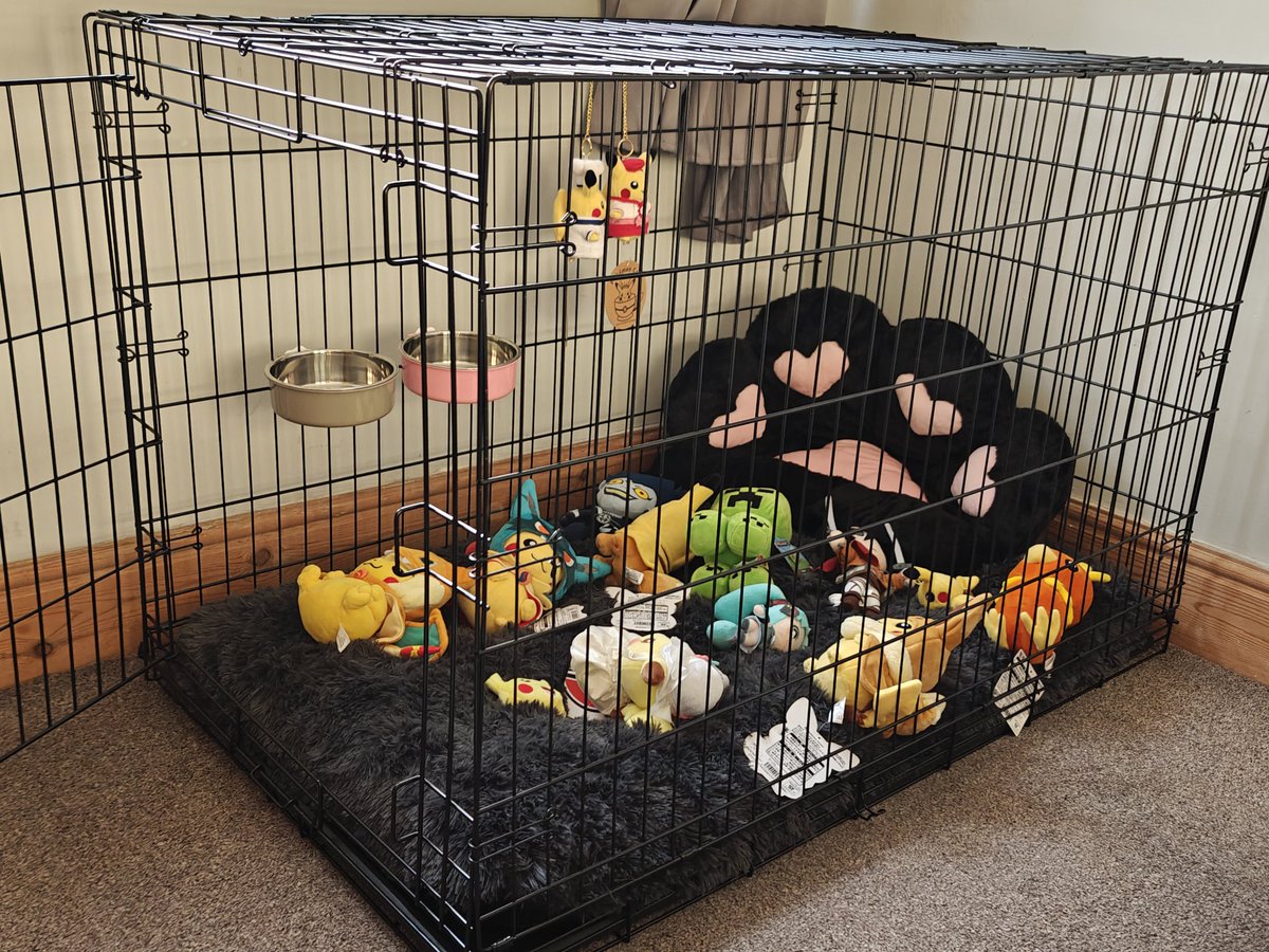 Zakkie 🐶🔥 tweet media